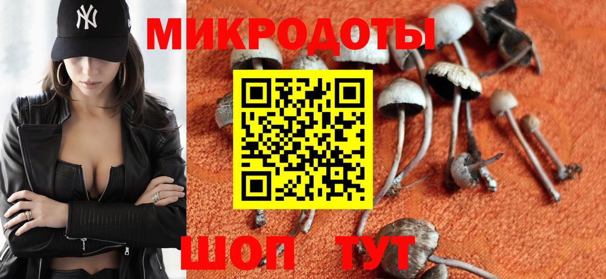 Галлюциногенные грибы мицелий Чусовой