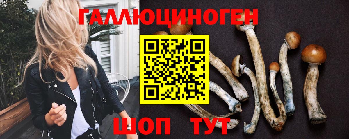 Псилоцибиновые грибы Psilocybe Чусовой