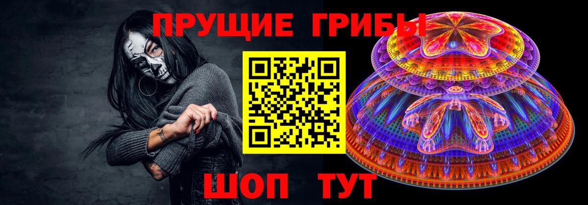 Чусовой  Галлюциногенные грибы Psilocybine cubensis  Вход с VPN 